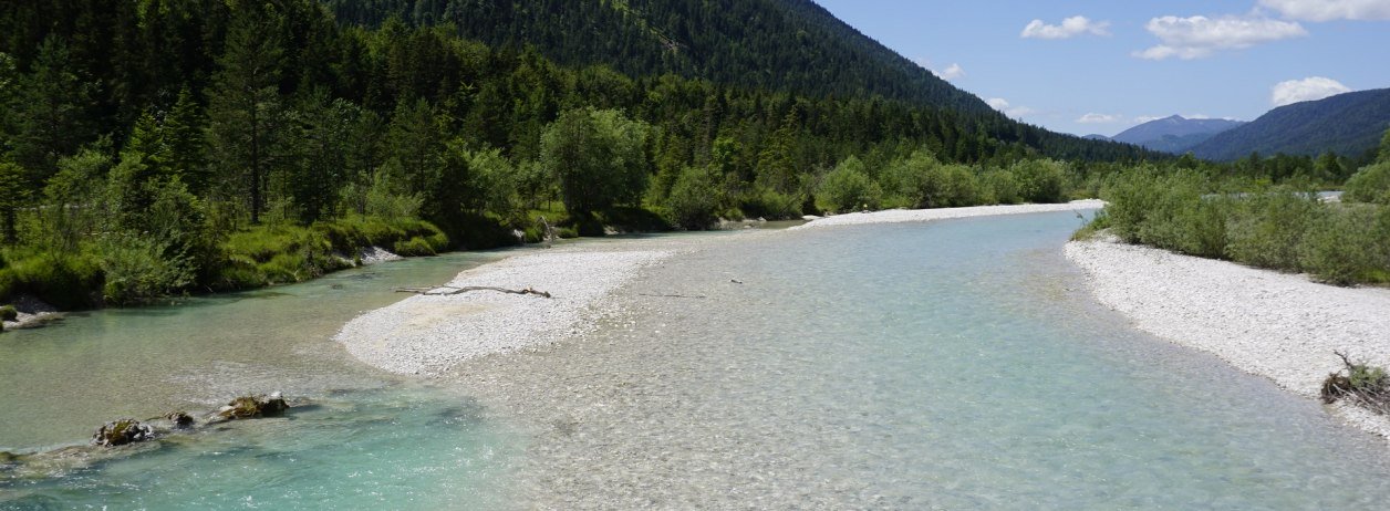 Die Isar gilt als einer der letzten Wildflüsse und bietet zahlreichen Tieren und Pflanzen Heimat., © Archiv Tölzer Land Tourismus|Kunz PR