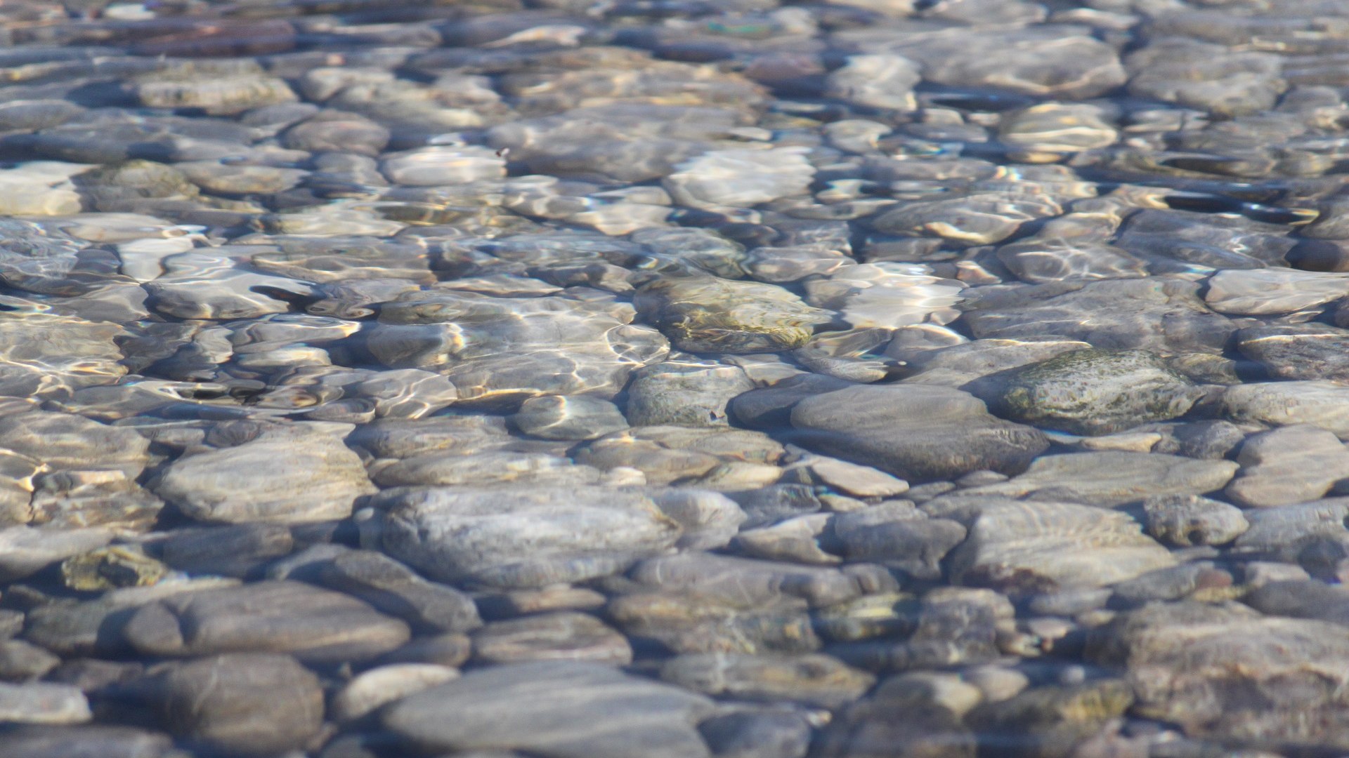 Glasklares Wasser &uuml;ber den Isarkieseln, &copy; Johanna Kirschenhofer
