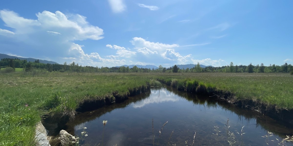 im Ellbacher Moor bei Bad T&ouml;lz, &copy; Hochschule M&uuml;nchen