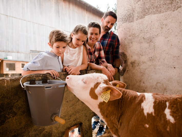 Für Grundschulklassen gibt es auf speziellen Bauernhöfen Programme um die Arbeit der Landwirte kennenzulernen. , © Tölzer Land Tourismus|Leonie Lorenz