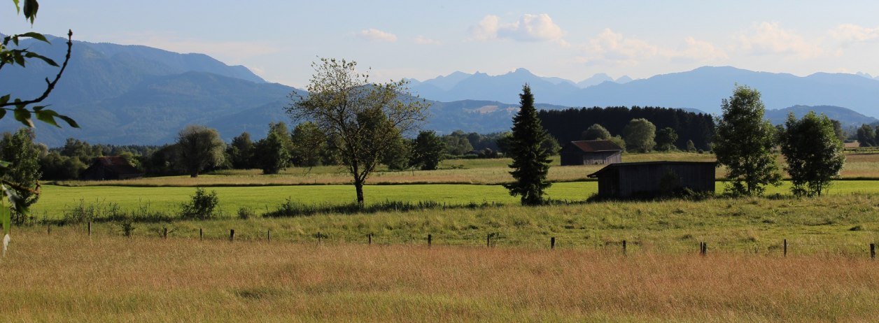 Das "Moos" zwischen Benediktbeuern und dem Kochelsee entlang der Loisach ist ein 1830 ha gro&szlig;es Naturschutzgebiet mit besonders seltenen Tier- und Pflanzenarten. Deshalb gelten hier strenge Schutzvorschriften!, &copy; G&auml;steinformation Benediktbeuern | Sabine Rauscher