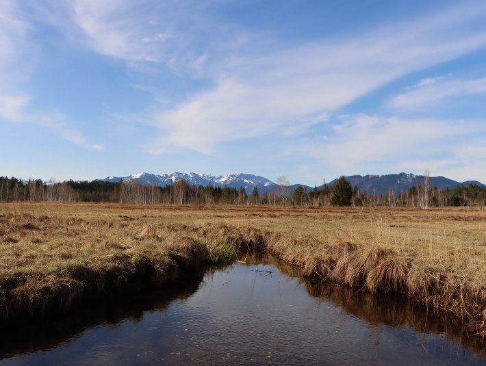 Ellbach-Kirchsee-Moor, © Johanna Kirschenhofer