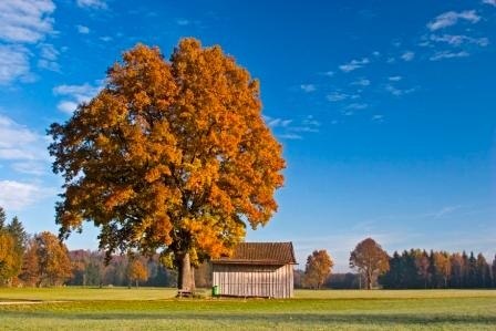 Filze Herbst, © Tölzer Land Tourismus