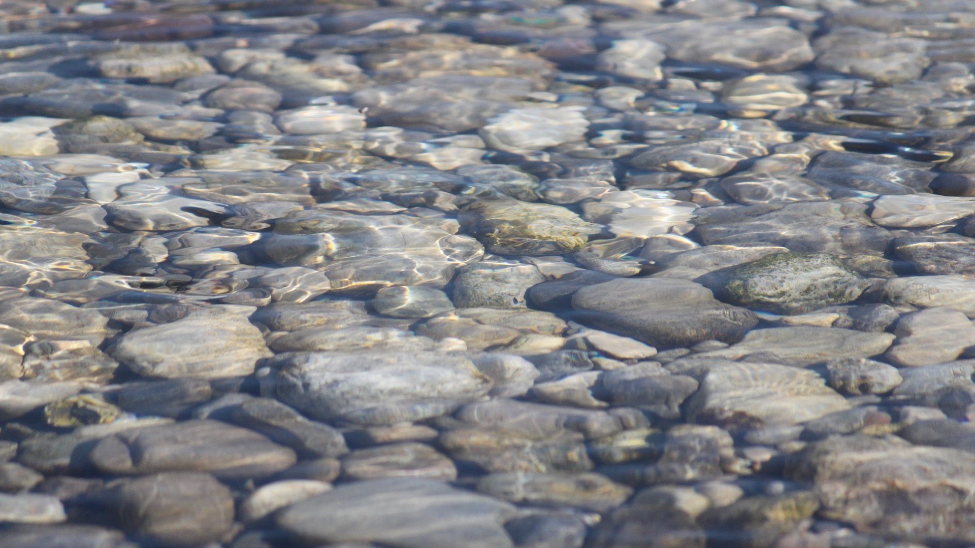Glasklares Wasser &uuml;ber den Isarkieseln, &copy; Johanna Kirschenhofer