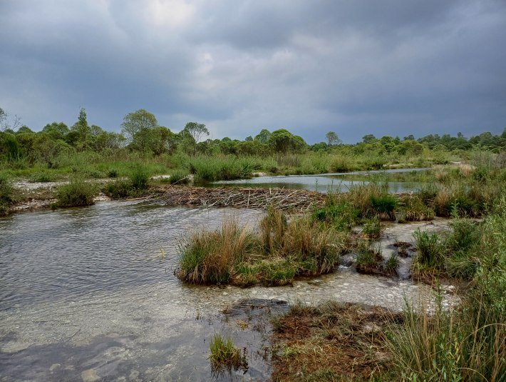 wilde Flusslandschaft der Isar bei Geretsried, &copy; Stadt Geretsried